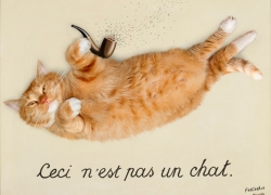 René Magritte, The Treachery of Images. Ceci n’est pas un chat