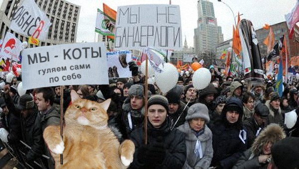 Коты или бандерлоги?