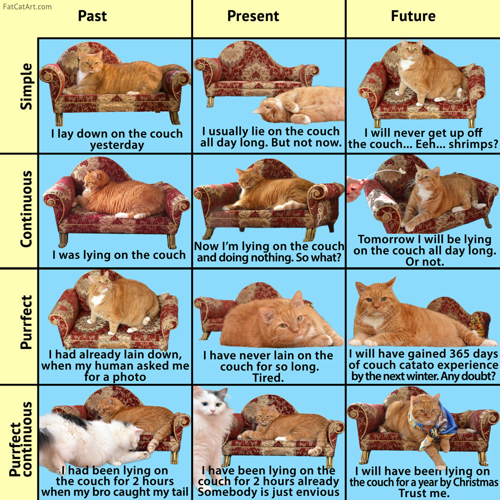 English Grammar by Zarathustra the Cat